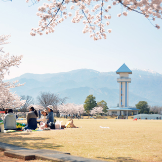 スポーツ・公園