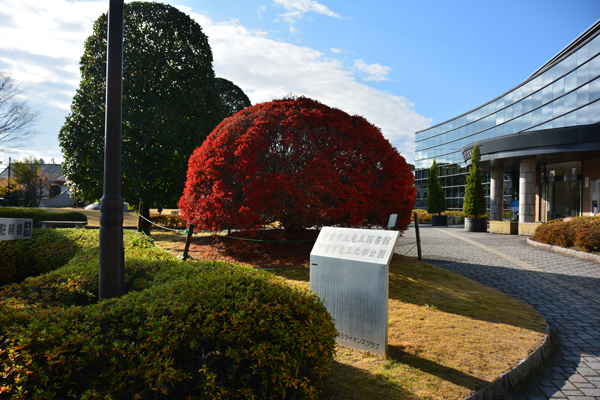 竜王図書館