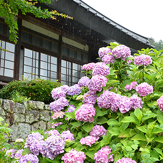 天澤寺