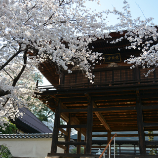 慈照寺