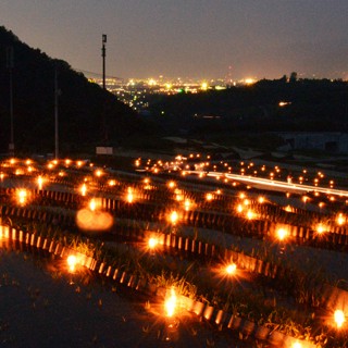 亀沢の棚田